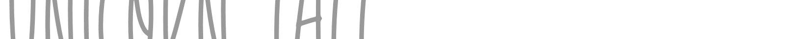 Unicorn Tall font preview